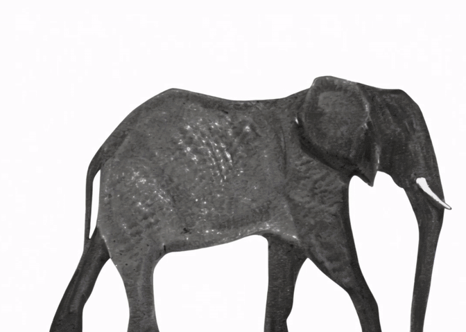 the_elephant